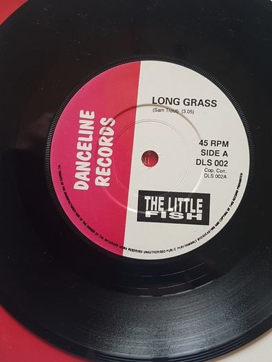 The little Fish 7" - Long Grass