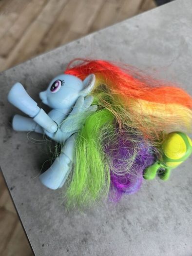 Articulated Joints Rainbow Dash with Pet Turtle Tortoise MLP G4 My Little Pony