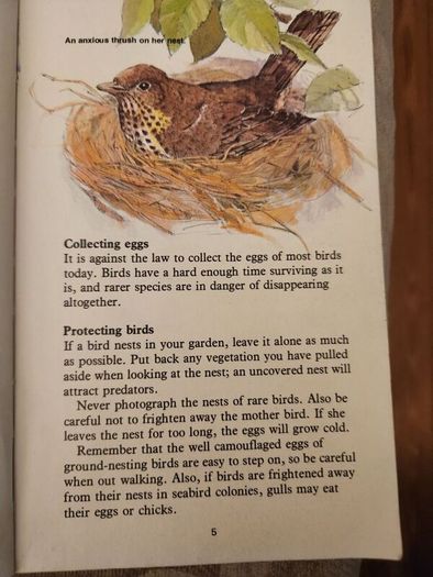 Whizz Kids. Birdwatching First Edition Vintage 1979 Paperback In Good Condition. 36.