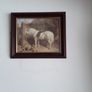 pictures Image 7