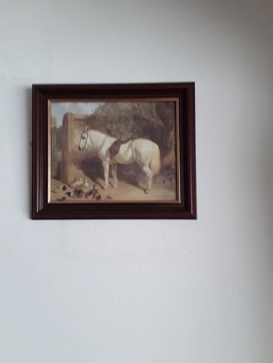 pictures
