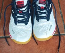 Badminton Shoes