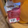 Large Charmander Plush Image 4