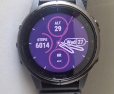 Garmin Fenix 5s plus sapphire