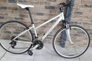 ladies carrera hybrid( can deliver)