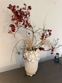 Museum-Grade Contemporary Botanical Installation