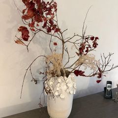 Museum-Grade Contemporary Botanical Installation