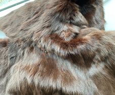 x3 coats /jackets