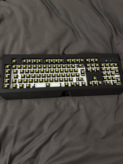 Razer Mechanical Keyboard + Razer Mouse + Headset