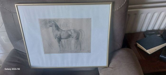 glass framed study of a horse