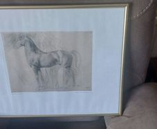 glass framed study of a horse