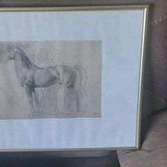 glass framed study of a horse