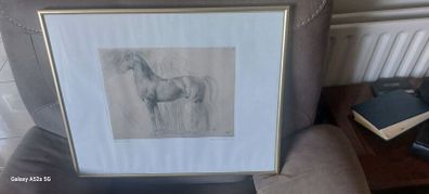 glass framed study of a horse