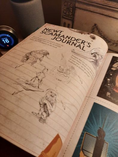 (New) Fantastic Beasts - A Cinematic Yearbook