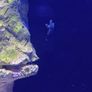 Fish Image 2