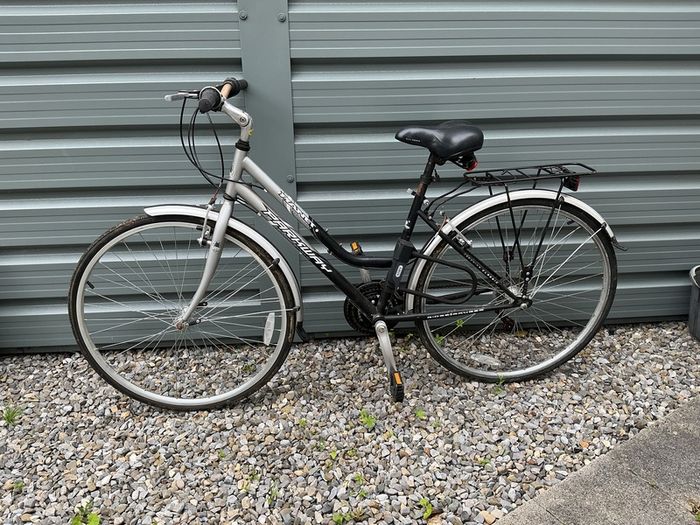 Ladies Bike