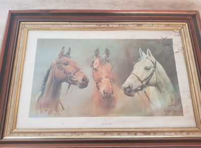 Racehorse Framed Picture