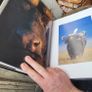 wildlife book Image 2