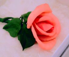 Rose Brooch 6 Euro