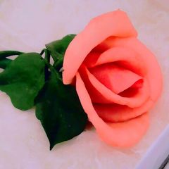 Rose Brooch 15 Euro