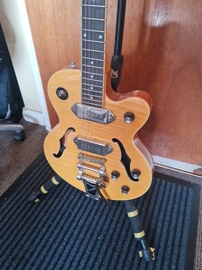 Epiphone Wildkat
