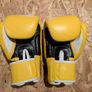 Fairtex 10oz Gloves Image 2