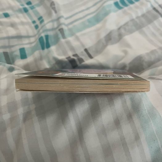 Disney Encanto: The Junior Novel