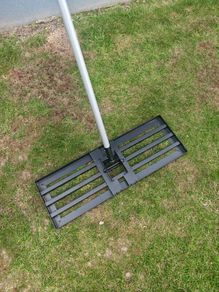 lawn grass  level
