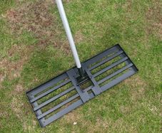 lawn grass  level