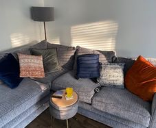 Free Sofa- please read