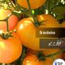 Tomato seeds Over 20 varieties Professionally packed Image 2