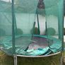 Free Trampoline Now Dismantled Going Into A Skip This Week Image 3