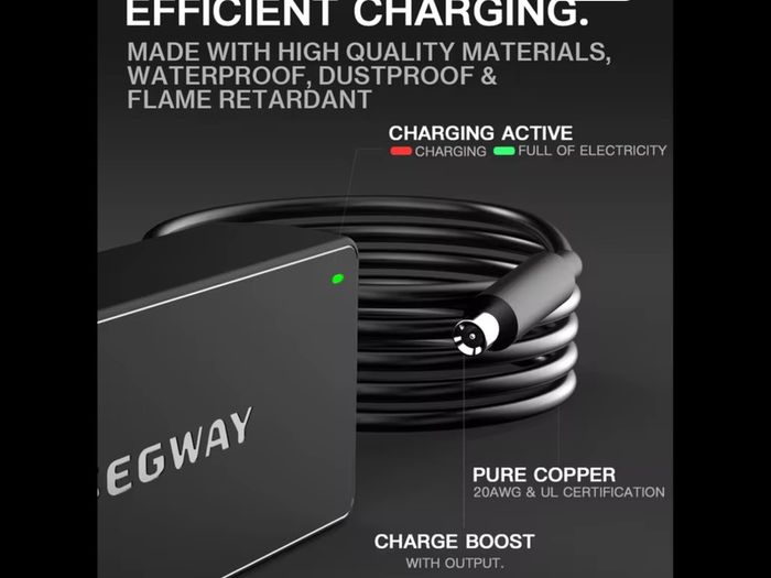 Segway Ninebot/Xiaomi Original Charger Electric EScooter/EBike