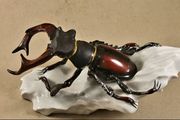Spectacular rare porcelain large Angler bug
