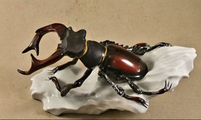 Spectacular rare porcelain large Angler bug