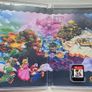Super Mario Bros Wonder Image 3