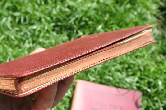 Vintage Books (20 each)
