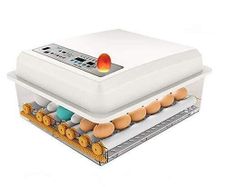 16 Egg Digital Incubator  Auto Turning & Temperature Control