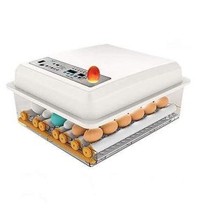16 Egg Digital Incubator  Auto Turning & Temperature Control
