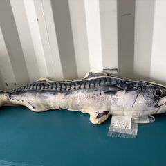 Fish cushion