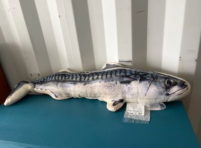 Fish cushion