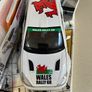 Ford Focus RS WRC 02 Wales 1/18 Burago extremely rare Image 10