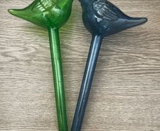 Pot Watering Spikes