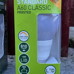 LED 10W bulb