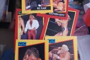 Wcw Trading Card Set Complete