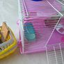 Dwarf Hamster or small animal cage bundle Image 4