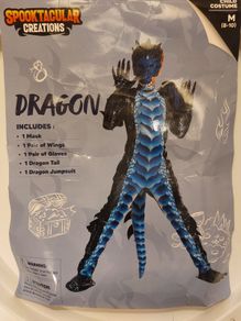 Dragon costume