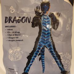 Dragon costume