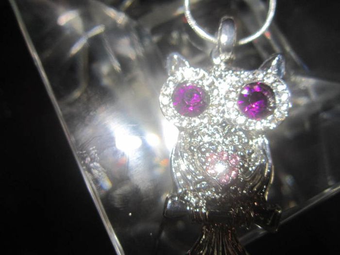 Cute Owl Pendant and Chain