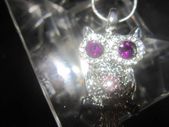 Cute Owl Pendant and Chain